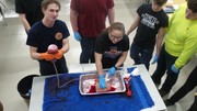 Stop the Bleed Training - Students using gauze with fake blood being pushed through to simulate the process.